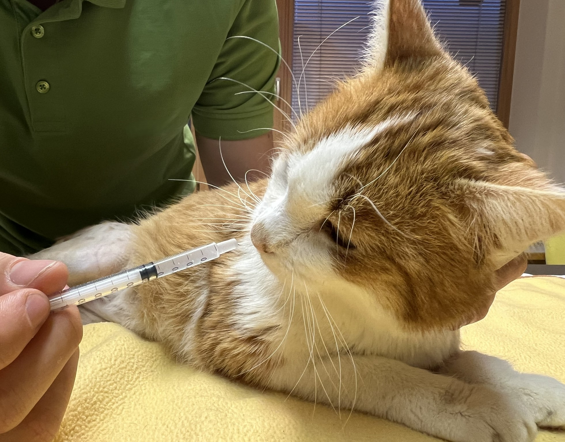 titel anwendung bearbeitet